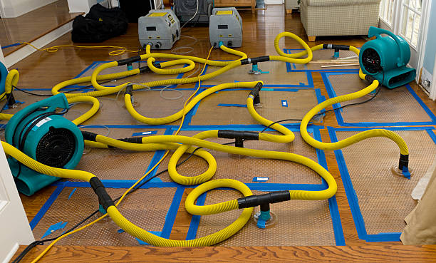 Professional Crawl Space Water Removal technician working in Wellington, TX